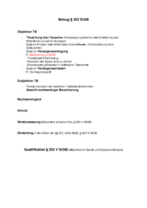 Raub - Schema mit den wichtigesten Definitionen/Problemen - Raub 249 I ...