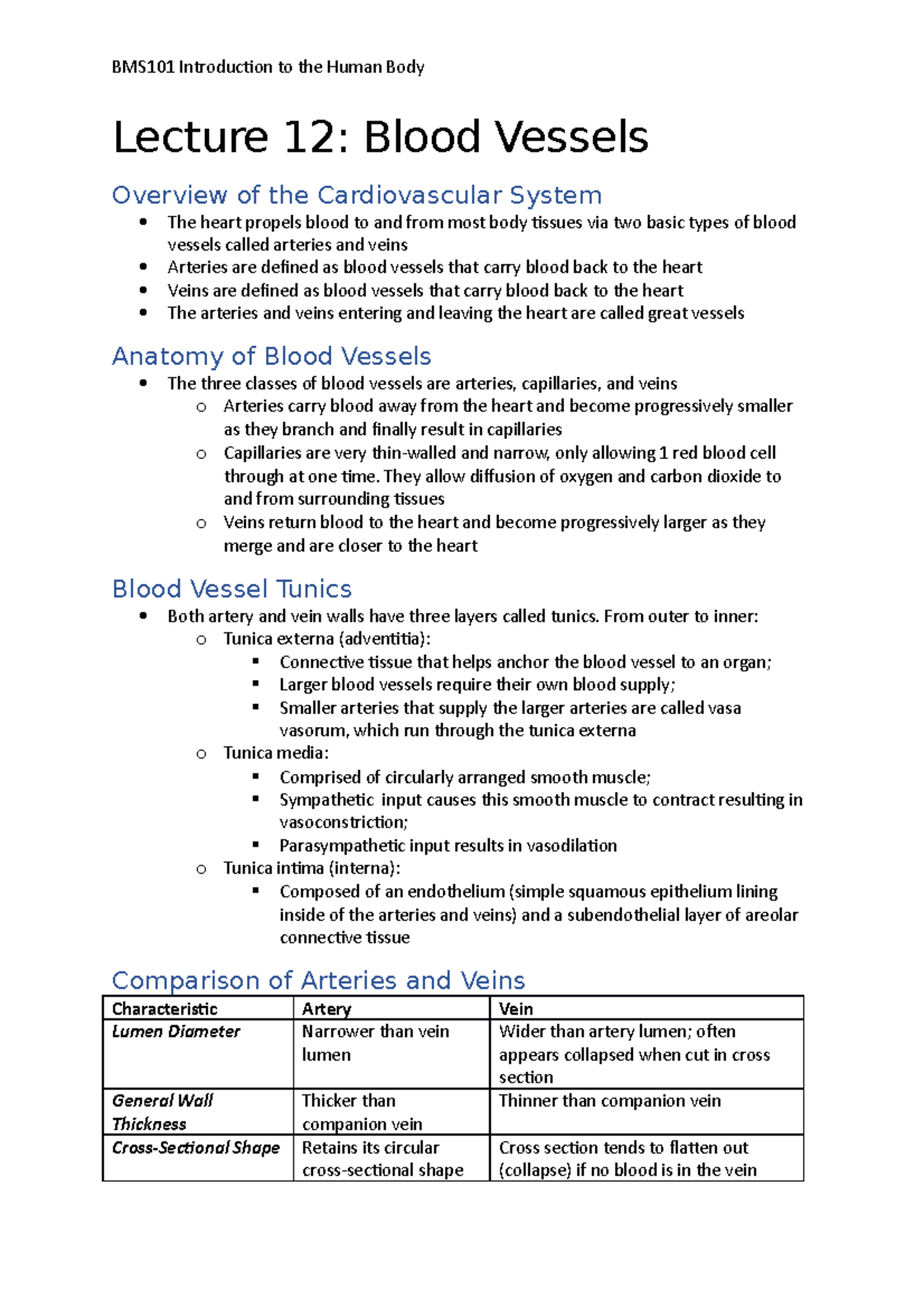 Lecture 12 Blood Vessels notes - Lecture 12: Blood Vessels Overview of ...