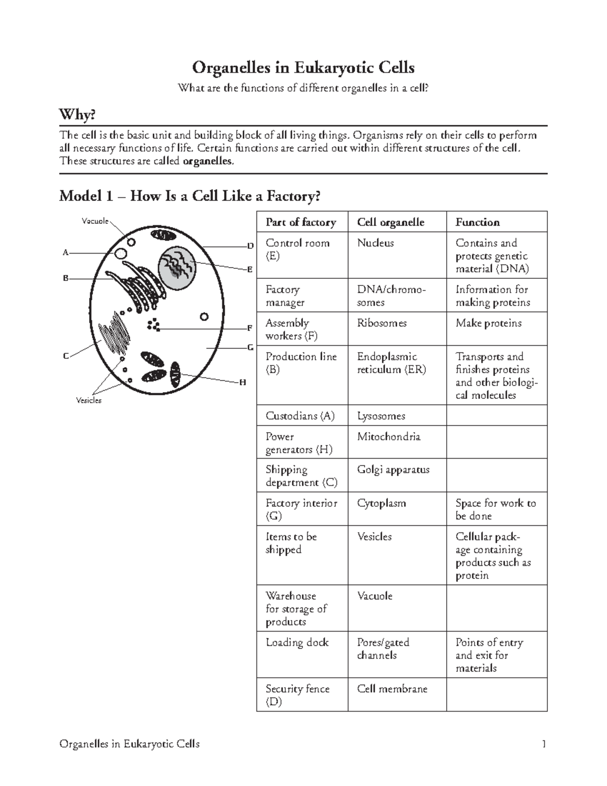 8 Organelles in Eukaryote Cells-S - Organelles in Eukaryotic Cells 1 ...