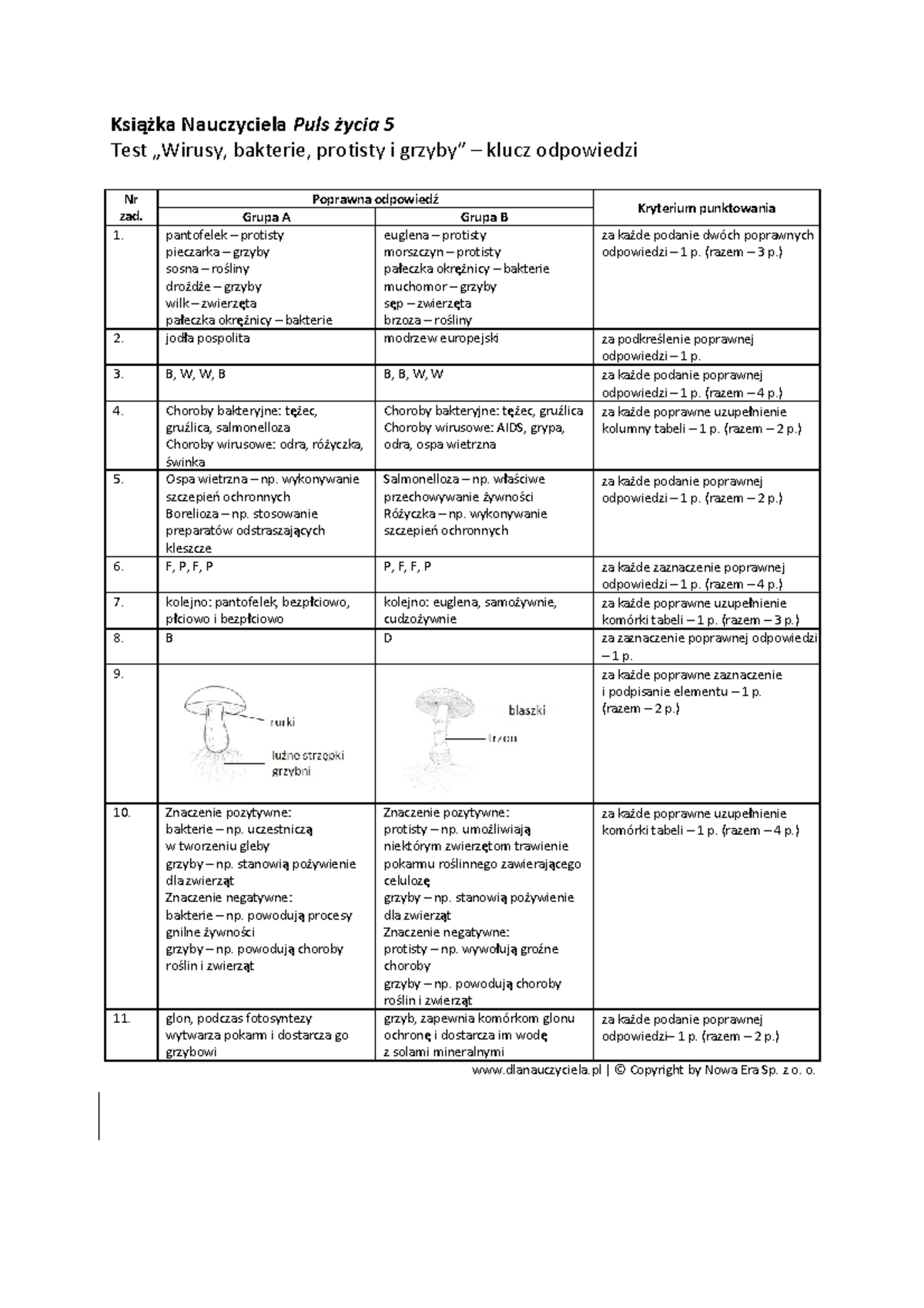 Test wirusy bakterie protisty i grzyby klucz odpowiedzi - Książka