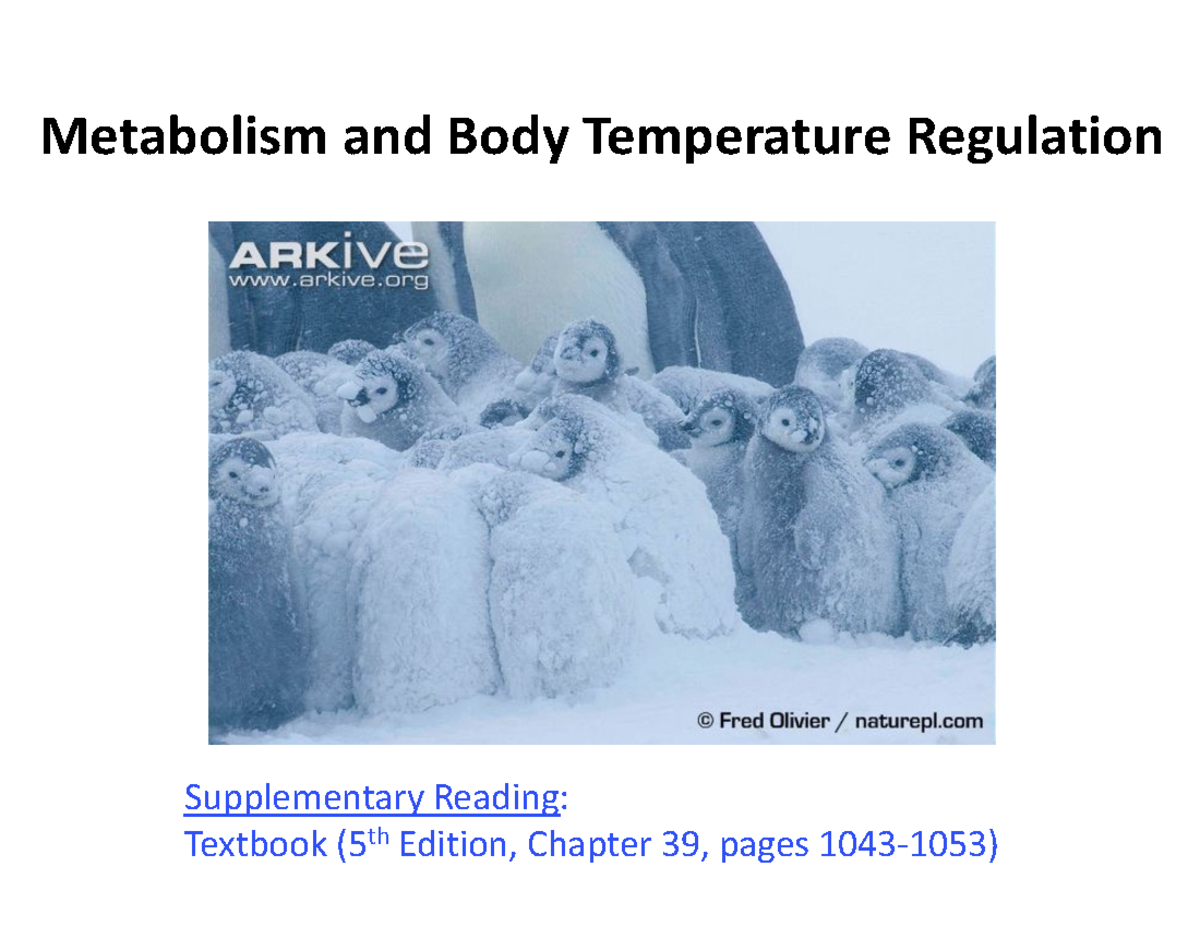 Metabolism+26+Temp+Regulation Metabolism and Body Temperature