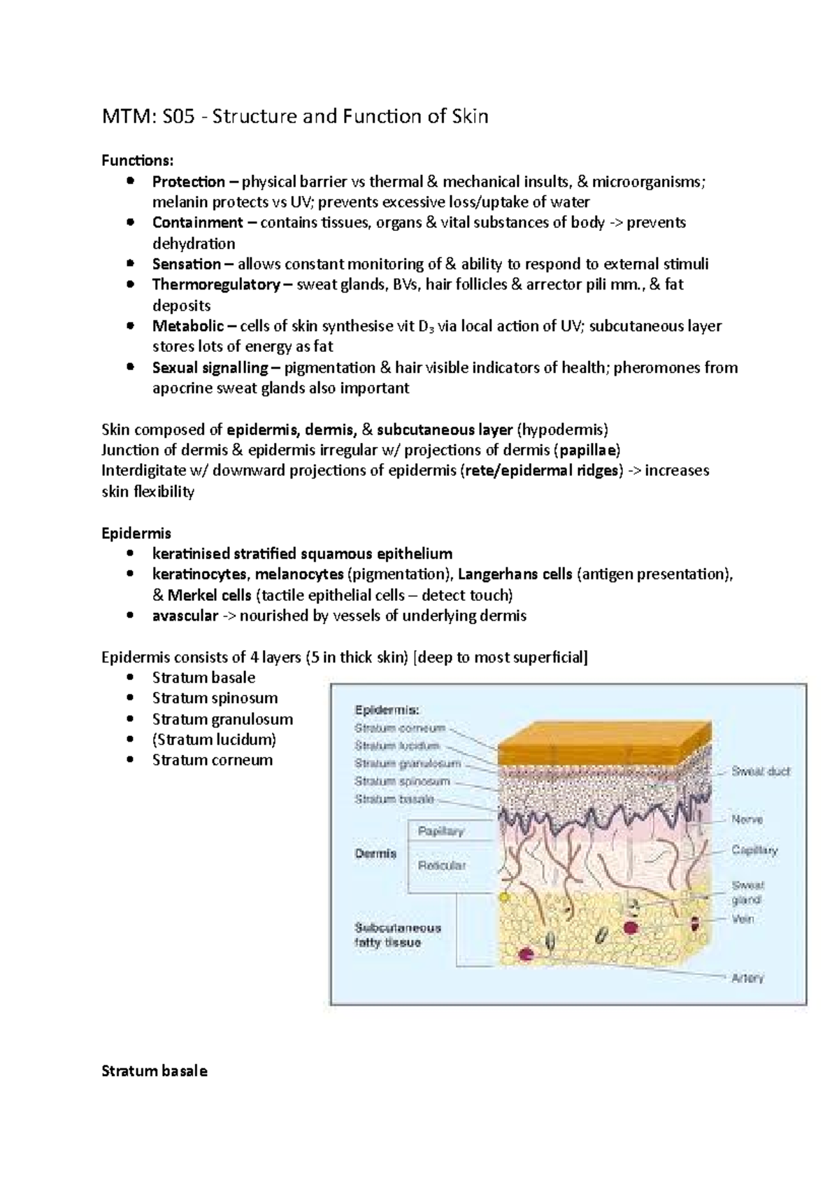 S05 - Structure and Function of Skin. SGT 05 - MTM: S05 - Structure and ...