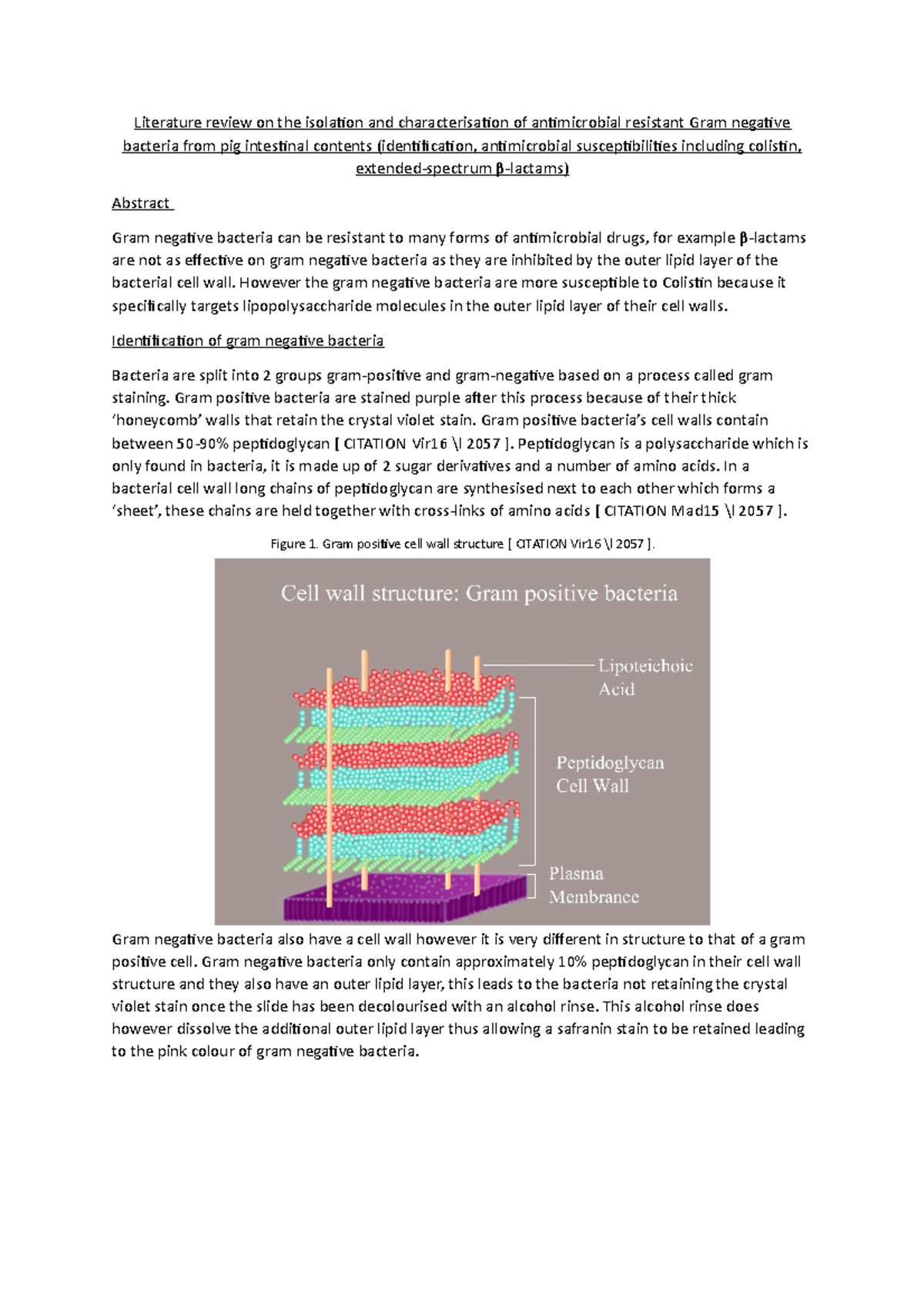 literature review in brm