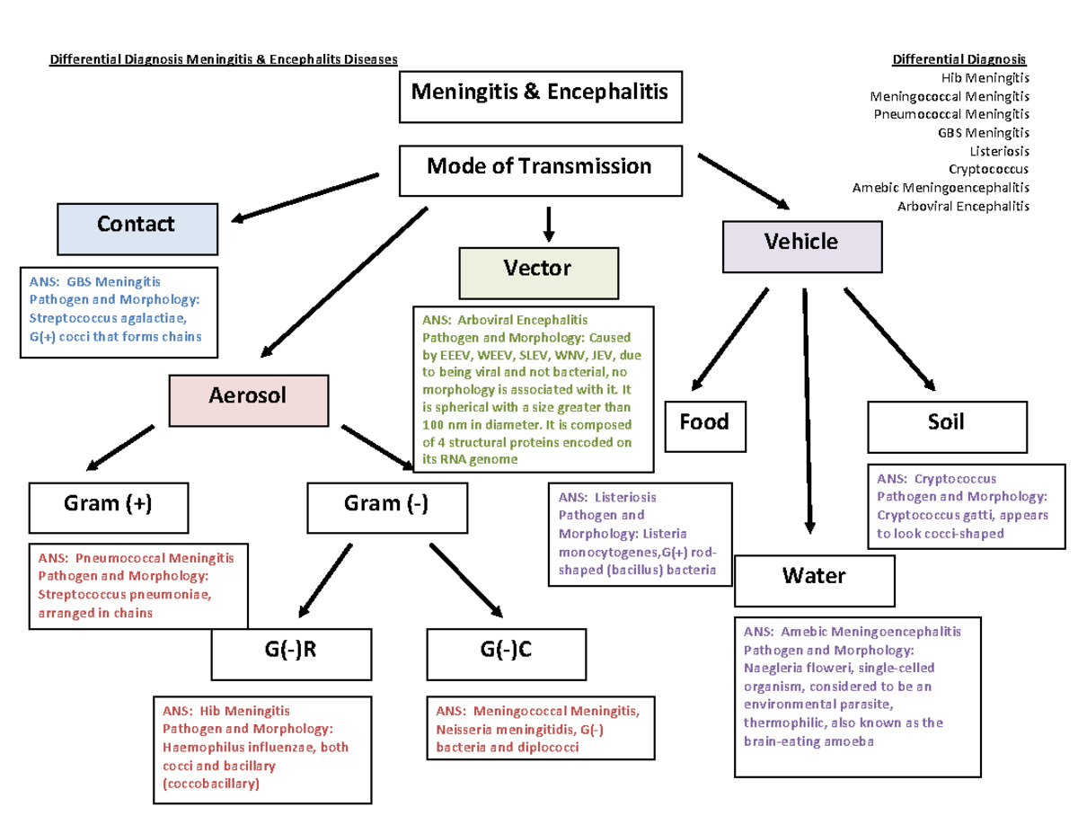 Ch.22 diff. diagnosis Differential Diagnosis Meningitis & Encephalits