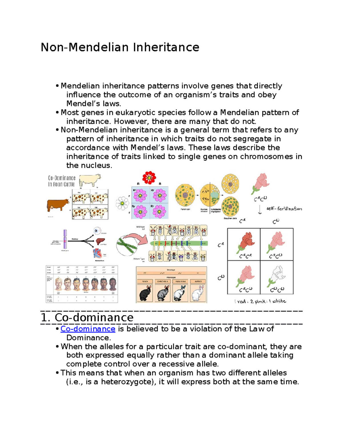 Non-Mendelian Inheritance - Most Genes In Eukaryotic Species Follow A ...