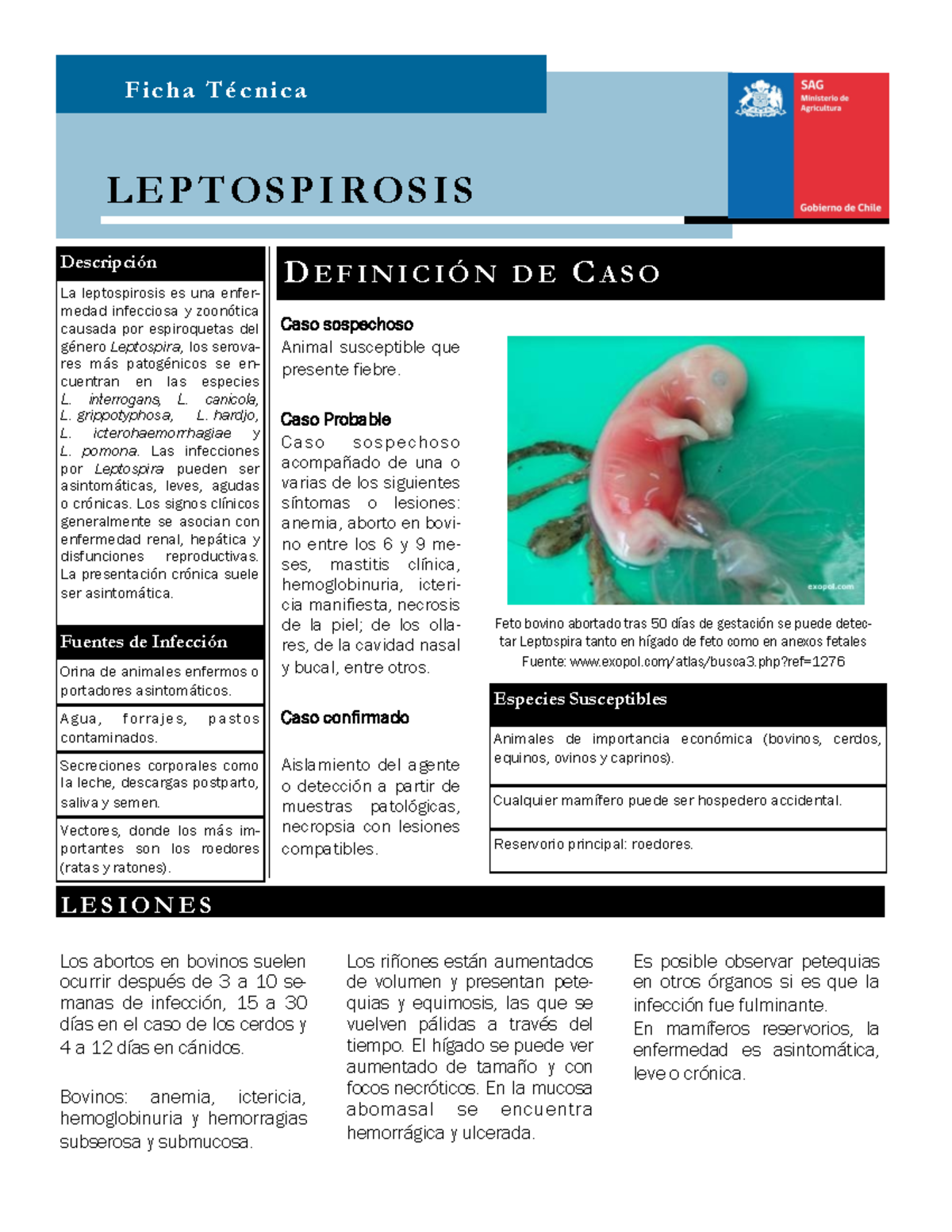 F tecnica leptospirosis F i c h a T È c n i c a DE F I N I C I ” N D