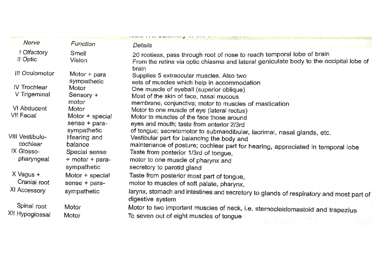 Cranial nerves -a short summary - BDS - Studocu