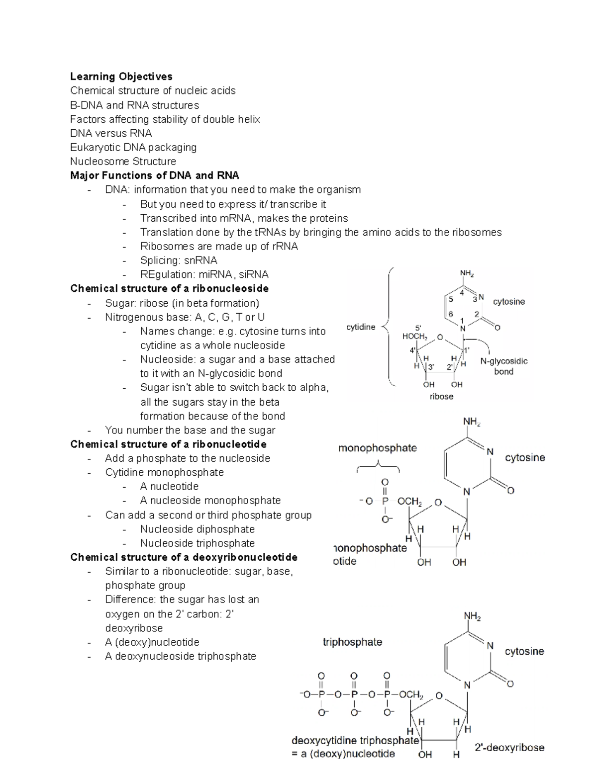 Topic 14 Nucleic Structure - Learning Objectives Chemical structure of ...