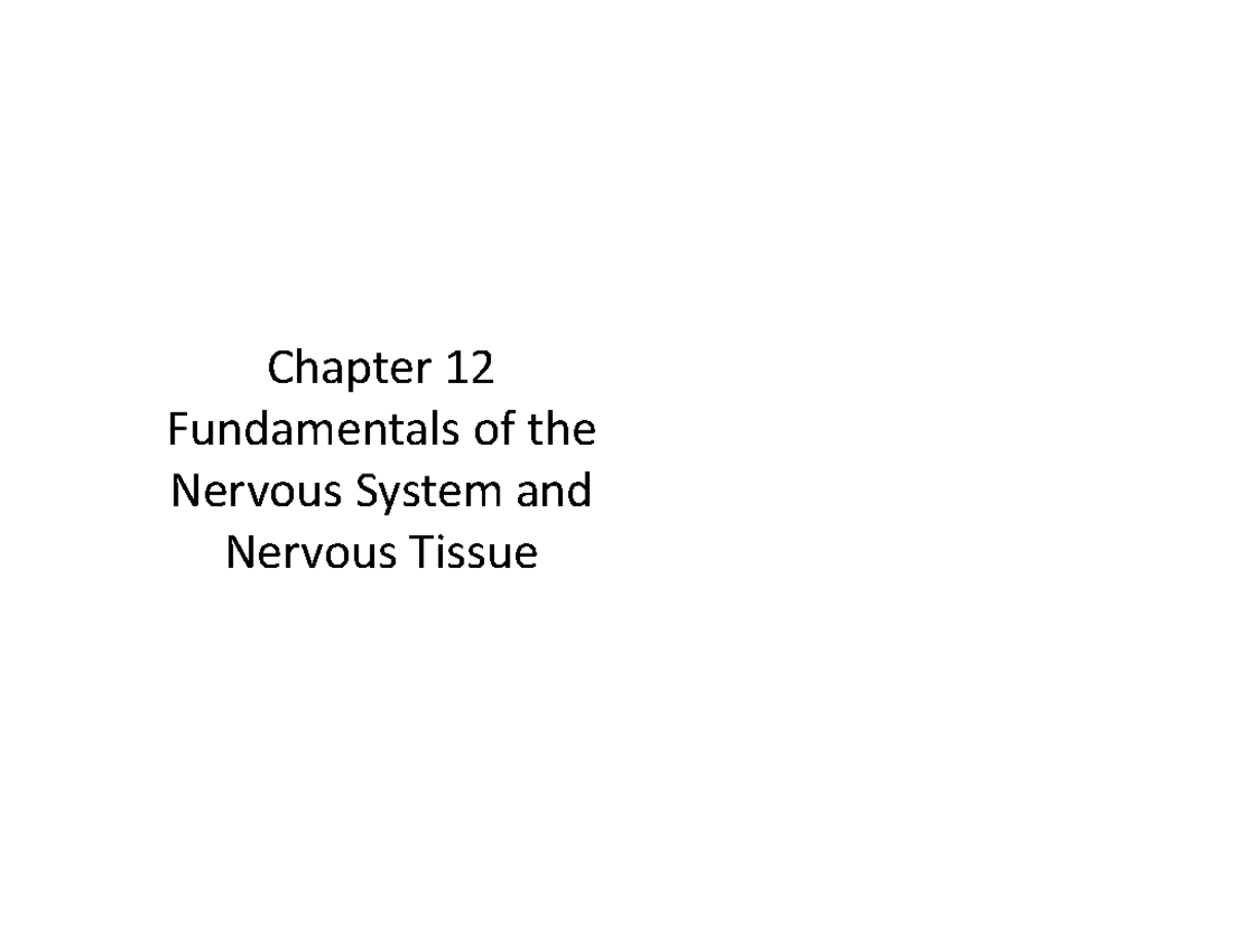 Ch12-Intro To Nervous- Revised - Chapter Fundamentals Of The Nervous ...