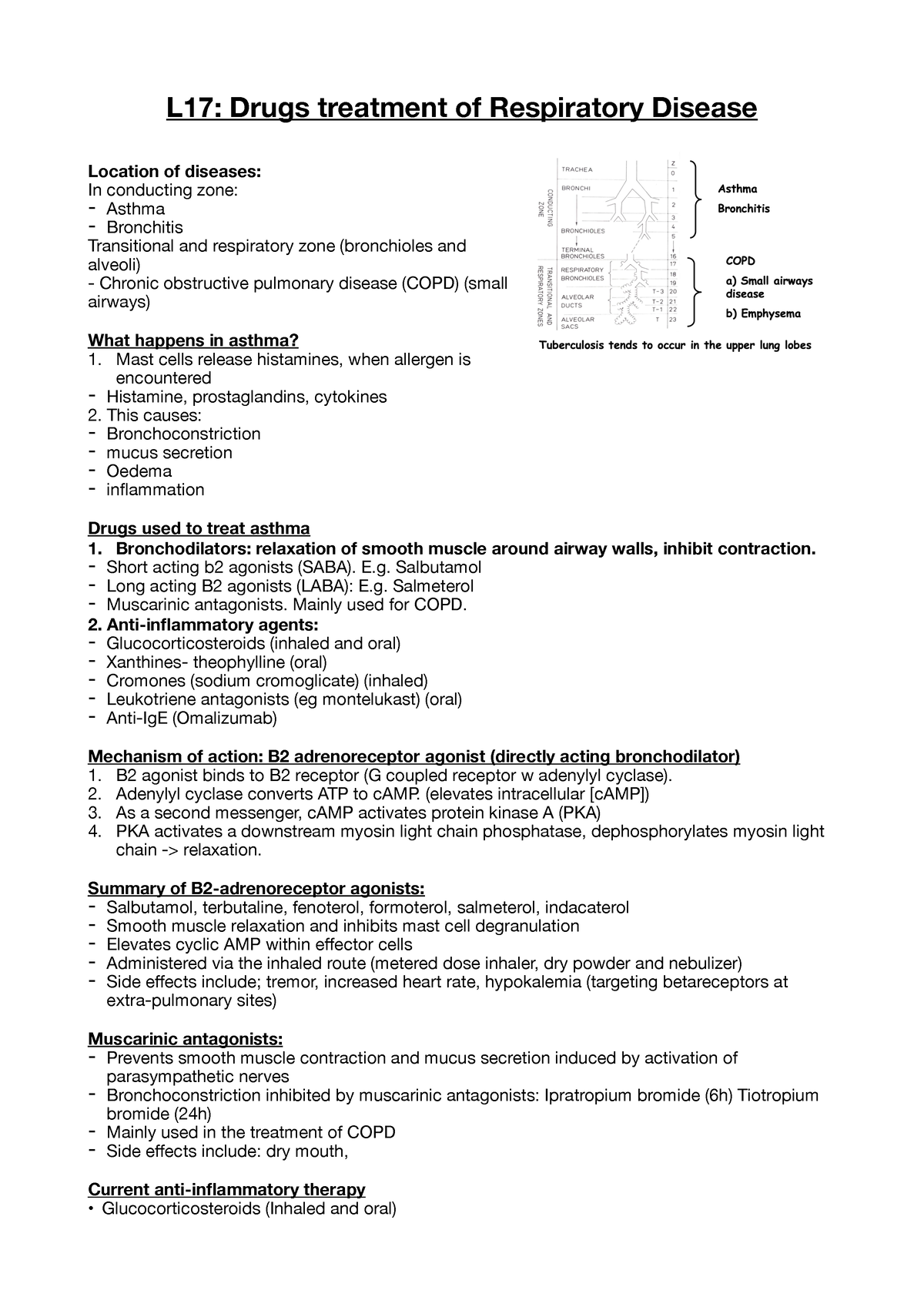 4BBY1040: Lecture 17 - L17: Drugs Treatment Of Respiratory Disease ...