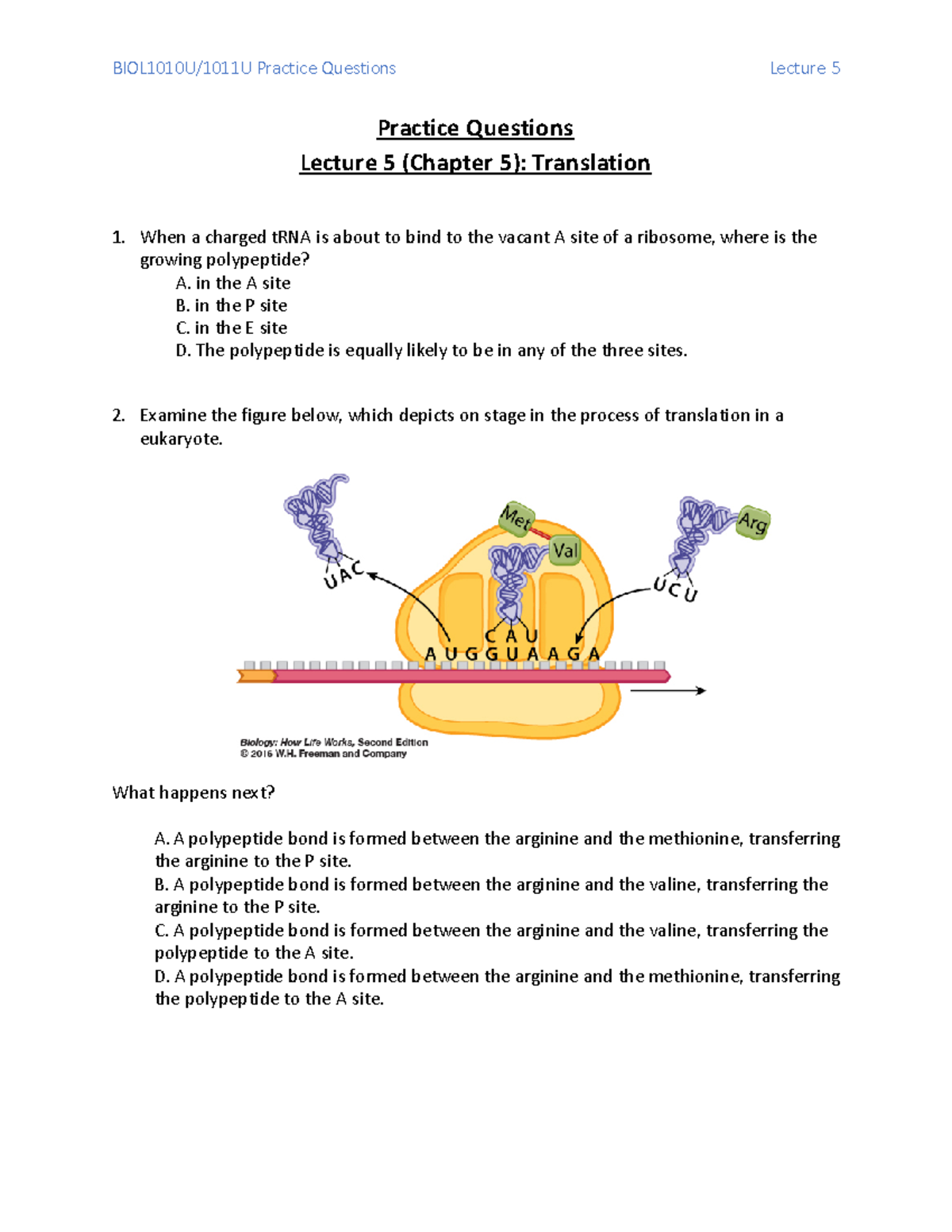 BIOL1010 1011+Lecture+5+Practice+Questions - BIOL1010U/1011U Practice ...