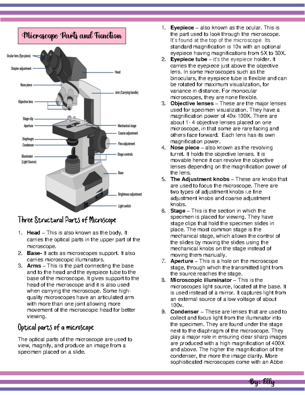 Urinalysis Head This is also known as the body. It carries the