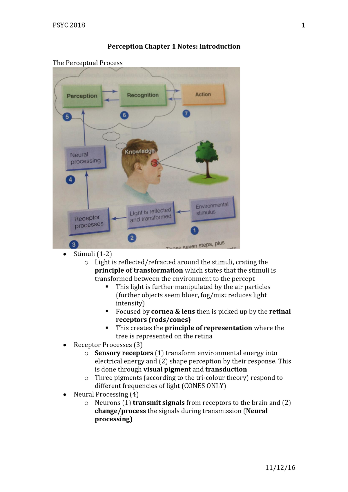 Summary Sensation and Perception Chapter 1 5 PSYC2018 StuDocu