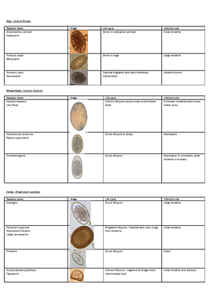 Parasitology Notes - Parasitology Introduction to parasitology ...