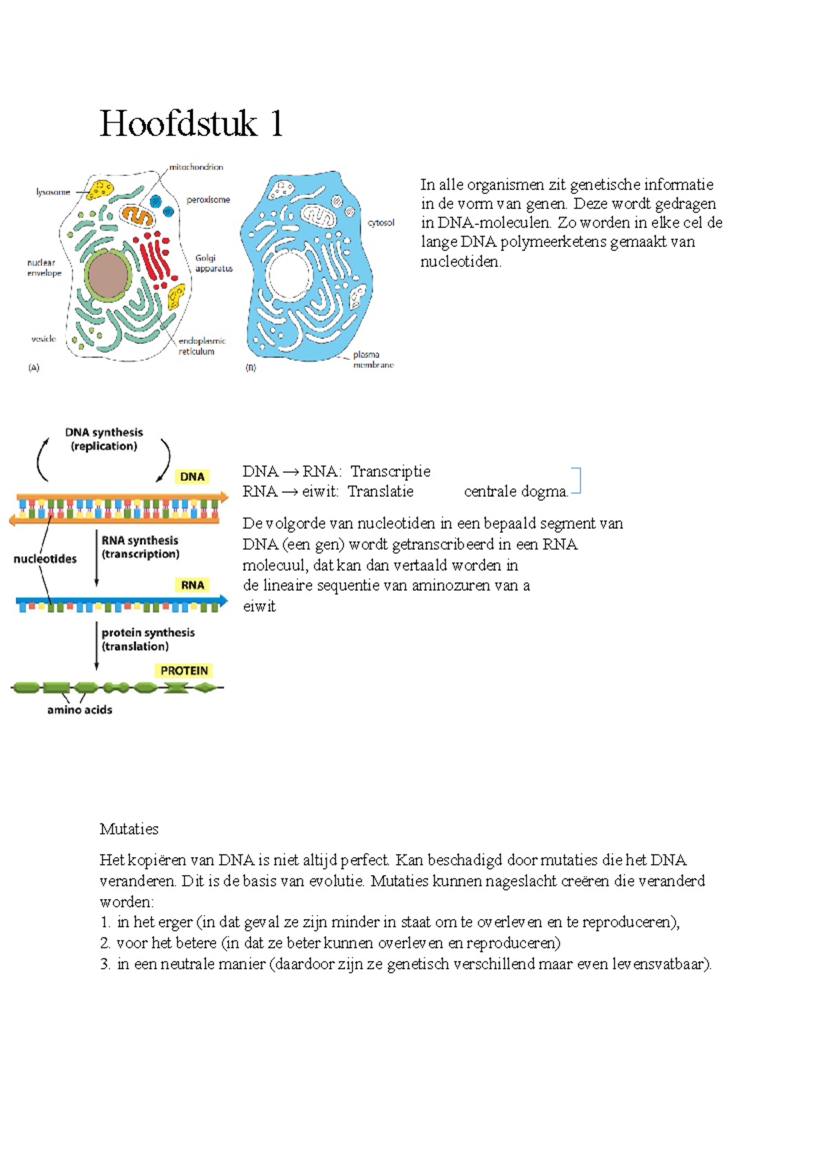 Cellulaire Biochemie Samenvatting - Hoofdstuk 1 In Alle Organismen Zit ...