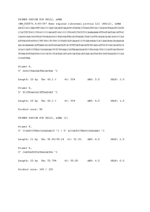Dot Blot Protocol (Revised) - Dot Blot Protocol (Revised) Antibody ...
