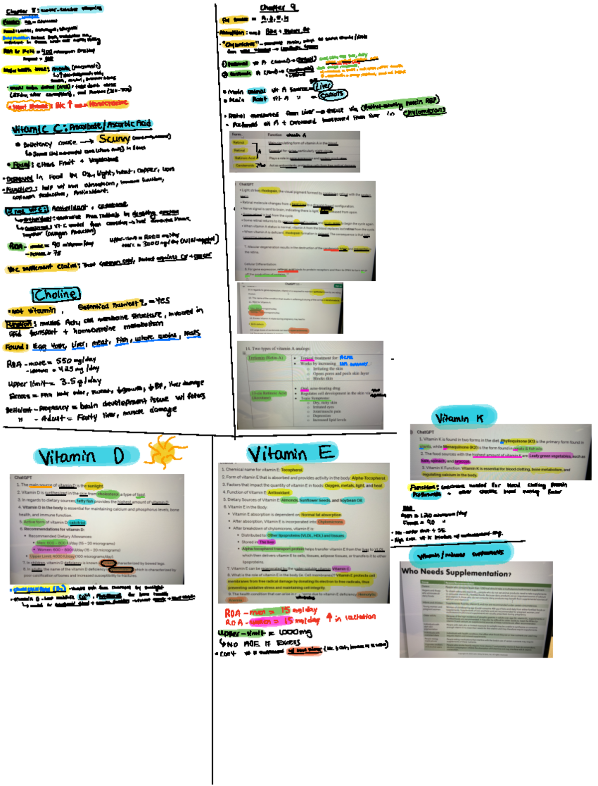 Finals - Study material for final - Chapter 8 vitamins coenzyme Folate ...