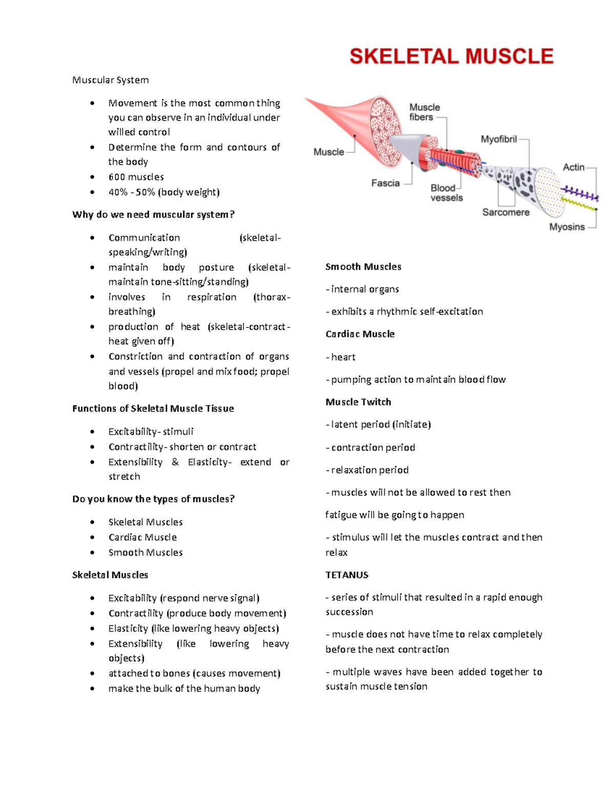 Muscular System - ANAPY NOTES - Muscular System - Movement is the most ...