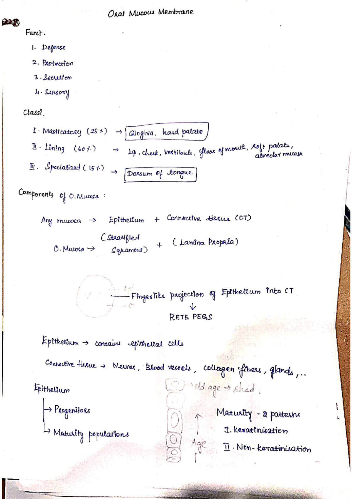 Oral Mucous Membrane - Basic Crisps - Bachelor In Dental Surgery - Studocu