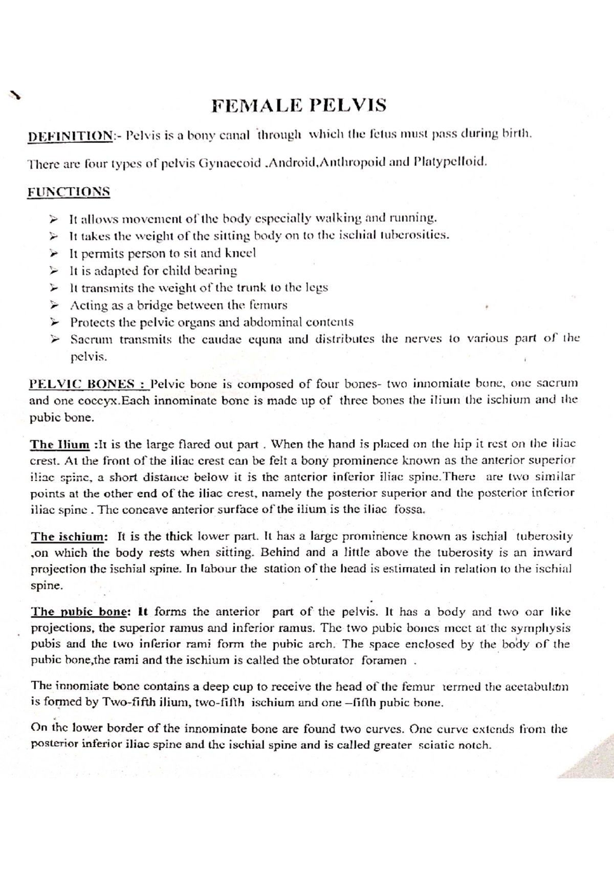 Female Pelvis Gynecological Nursing Studocu