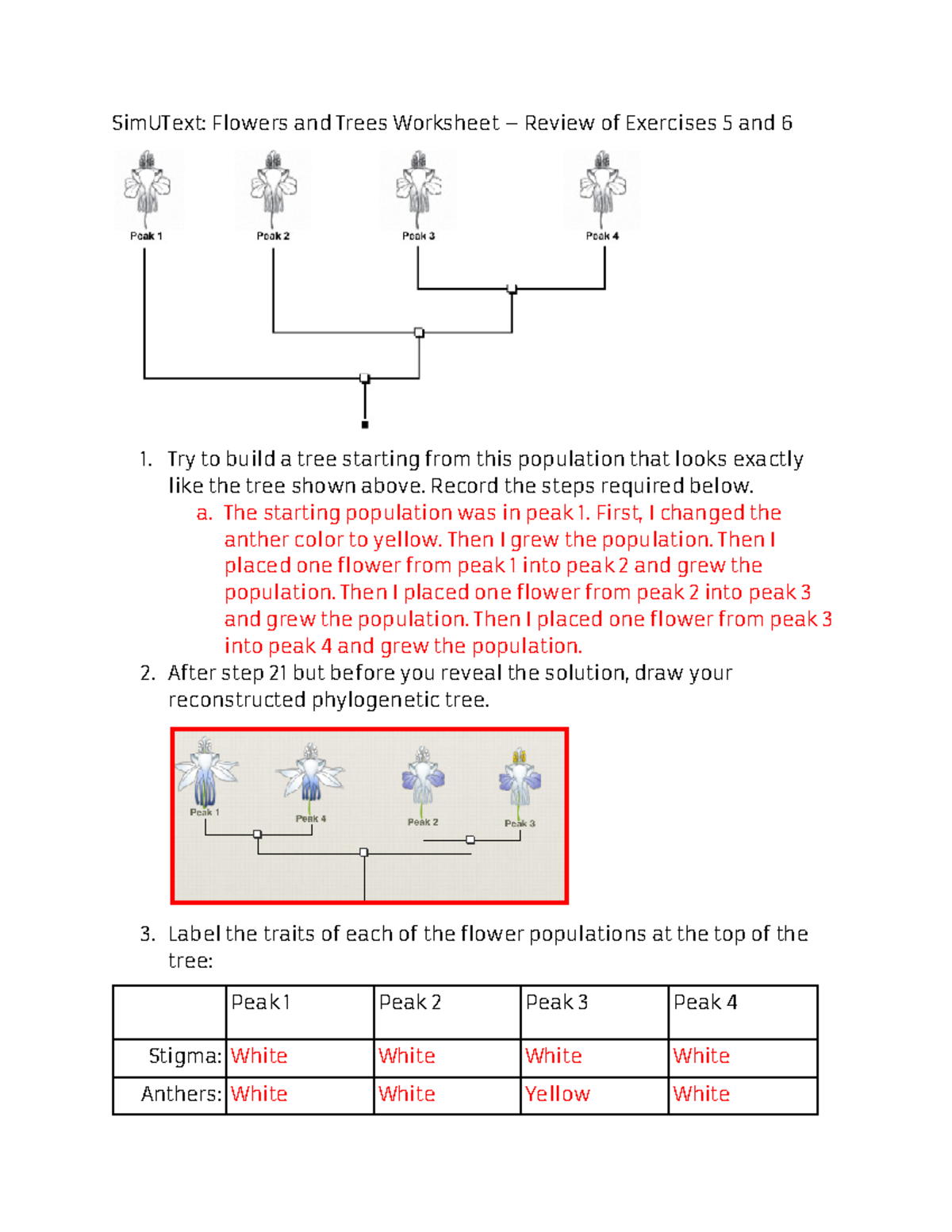 Flowers and Trees Worksheet Record the steps required below. a. The