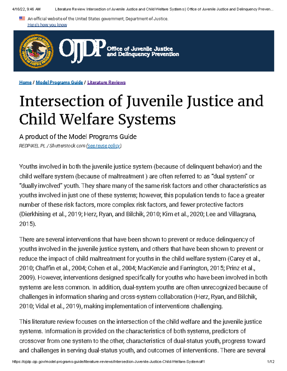 Literature Review Intersection of Juvenile Justice and Child Welfare ...
