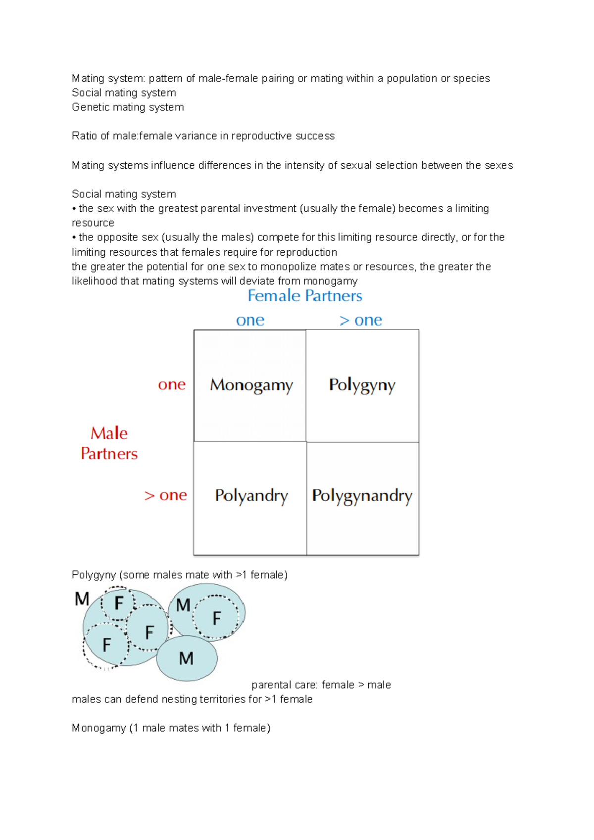 Polygynandry