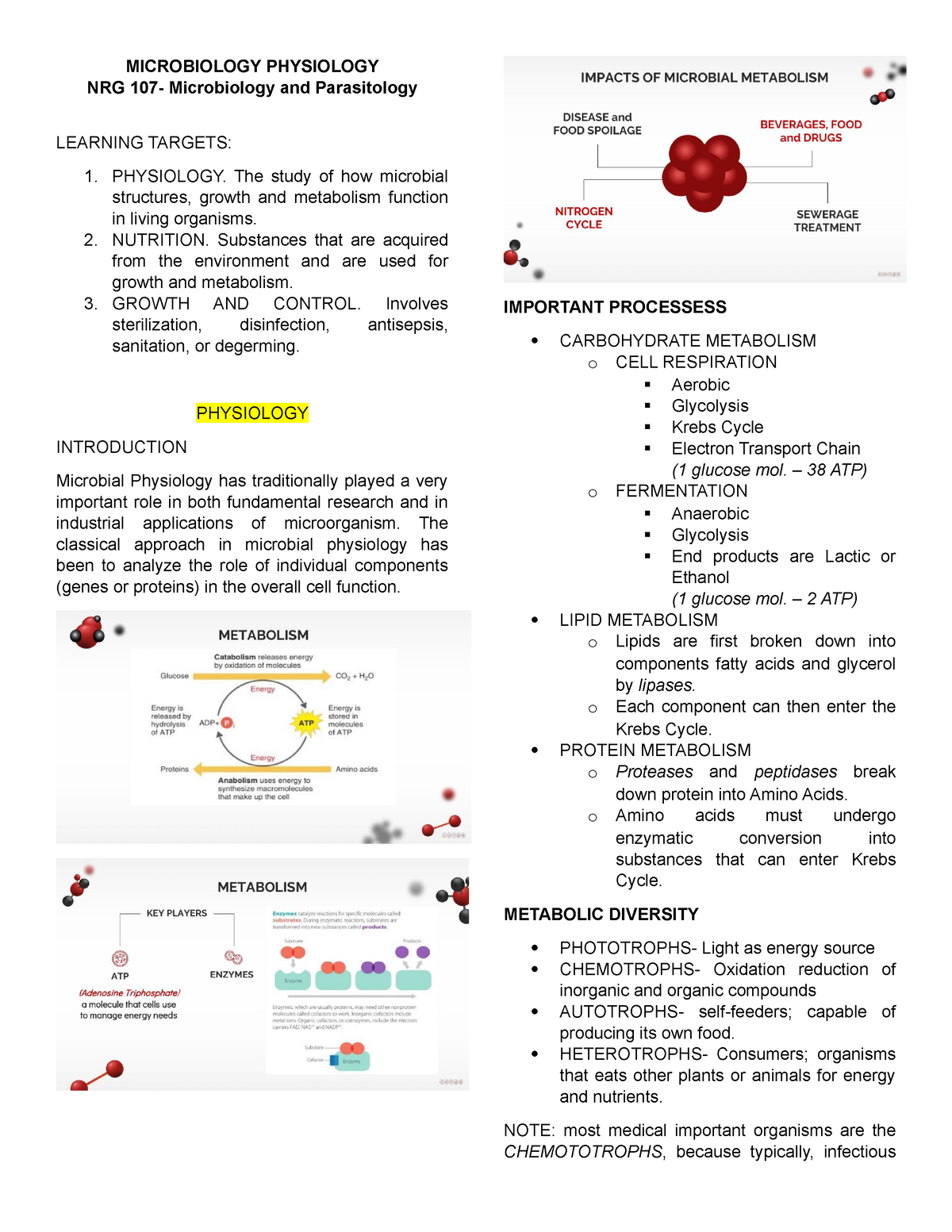 Microbiology Physiology - MICROBIOLOGY PHYSIOLOGY NRG 107- Microbiology ...