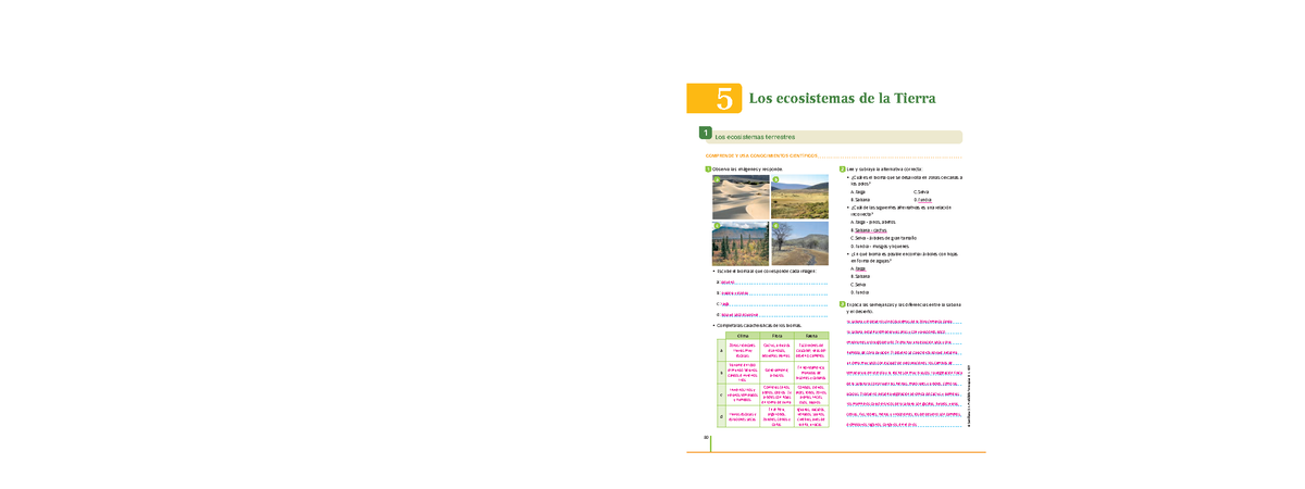 Unidad 5 Los Ecosistemas De La Tierra 5 Los Ecosistemas De La Tierra Comprende Y Usa 5424