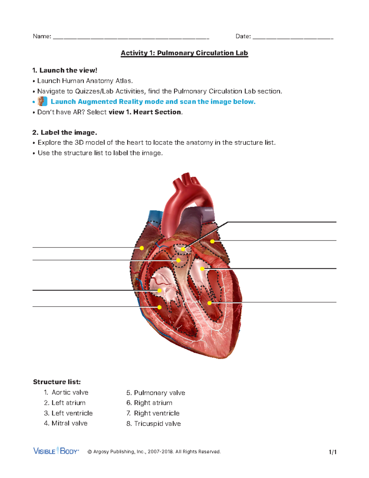 Pulmonary-lab-activity (1) (1) - © Argosy Publishing, Inc., 2007-2018 ...