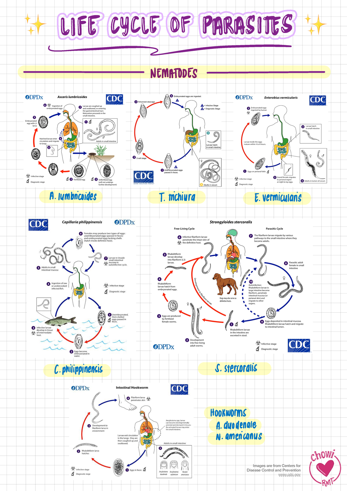 LIFE Cycle OF Parasites CDC - Images Are From Centers For Disease ...