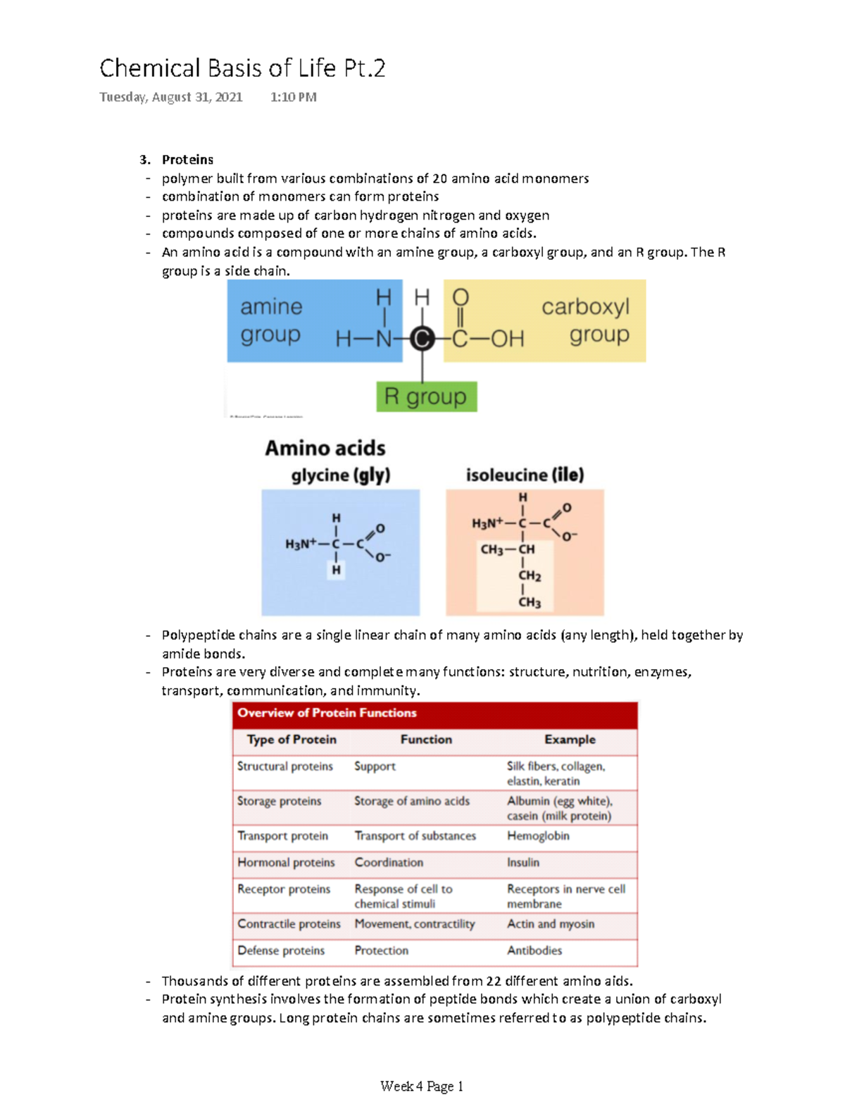 Chemical Basis of Life Pt Proteins polymer built from various