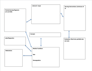 Vulnerable Populations Assignment and Rubric - Associate Degree Nursing ...