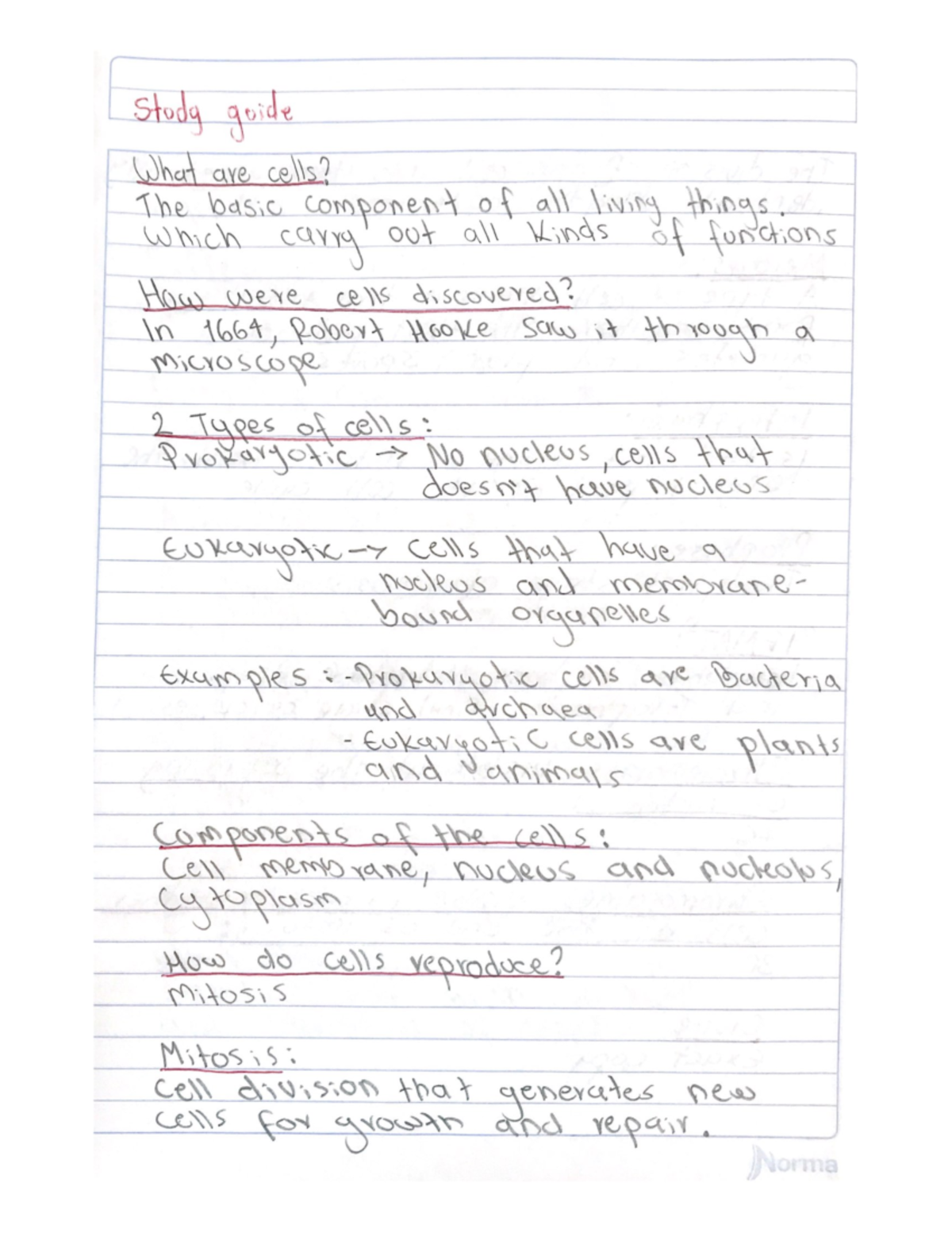 Biology Study Guide - Study guide What are cells? The basic component ...