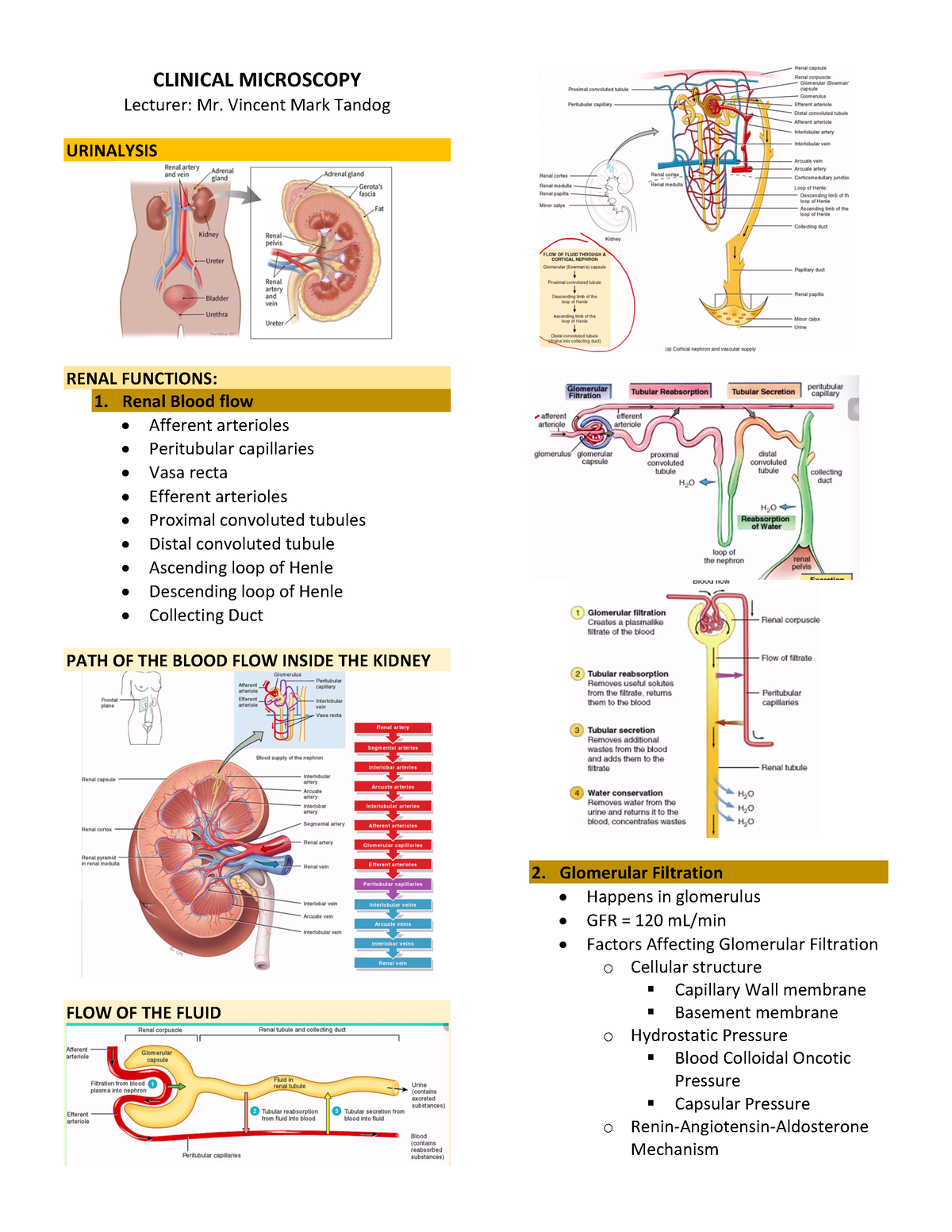 Clinical Microscopy Trans - CLINICAL MICROSCOPY Lecturer: Mr. Vincent ...