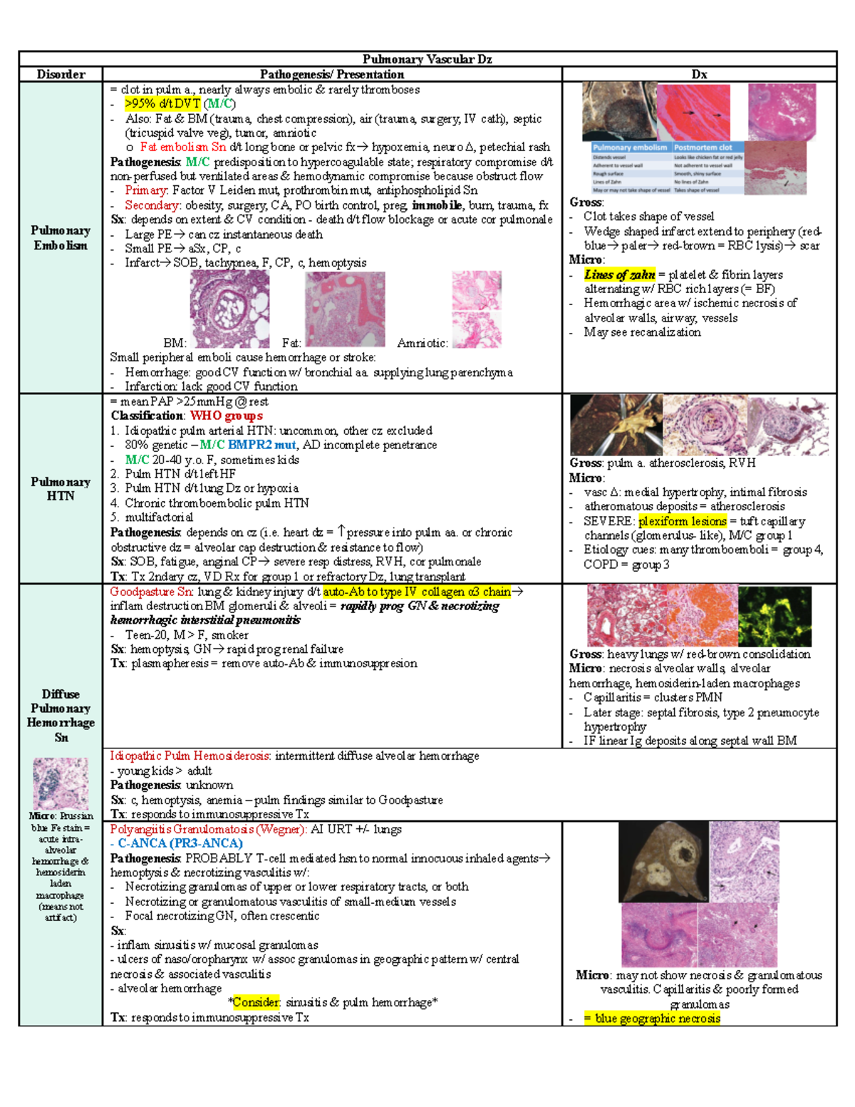 Path L6 Pulm Vasc - Path L6 Pulm Vasc - Pulmonary Vascular Dz Disorder ...