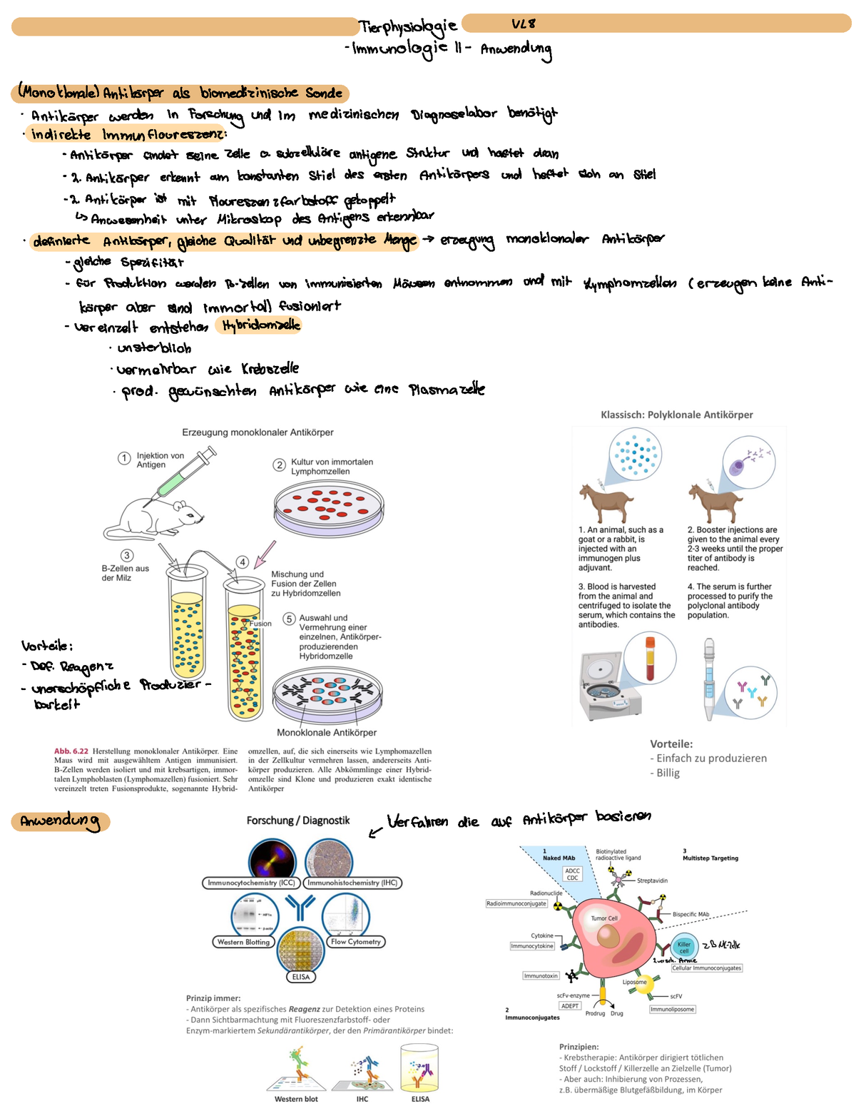 Vorlesung 8 Immunologie 2 - Tierphysiologie V Immunologie II ...