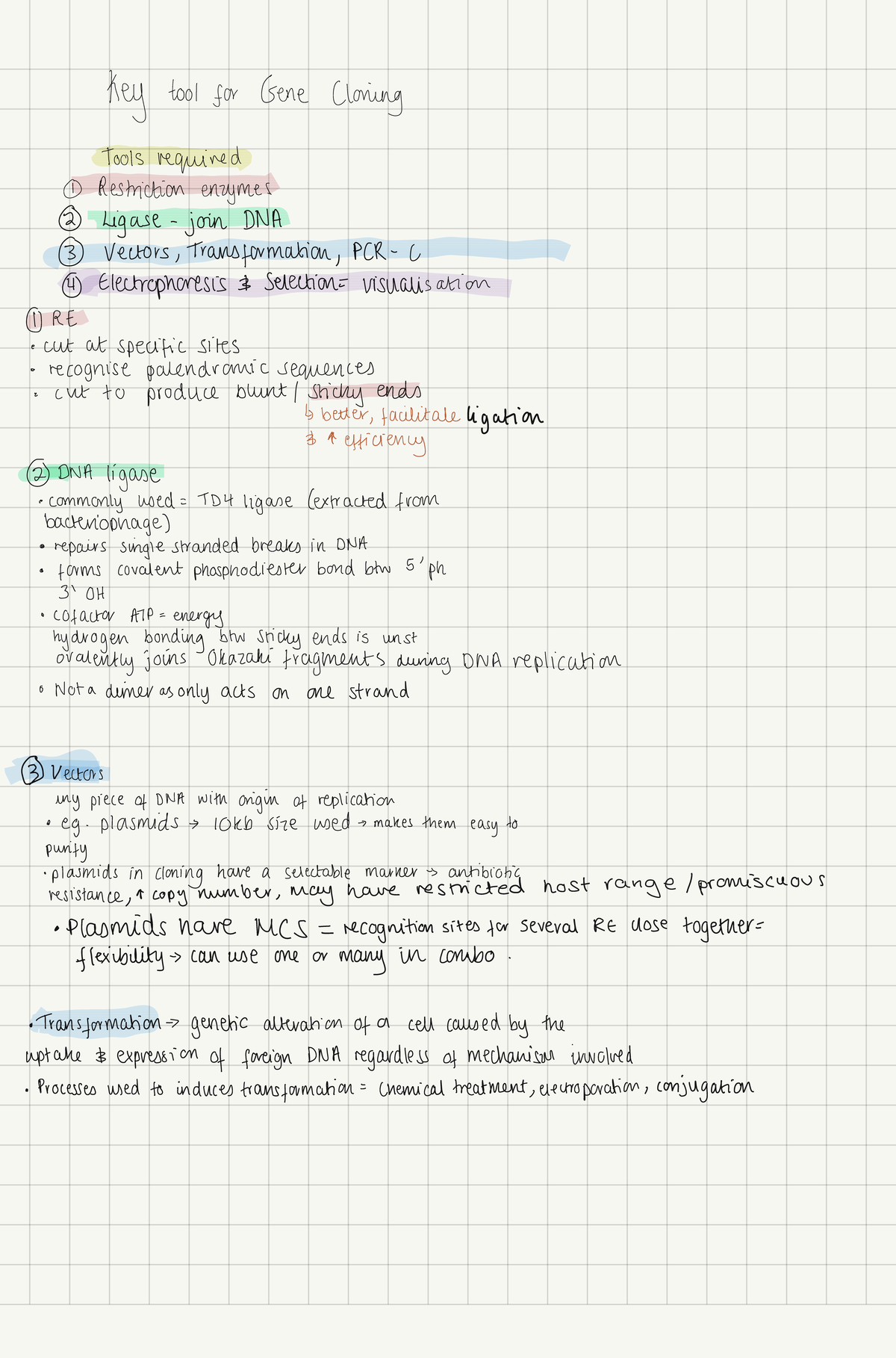 Gene Cloning Revision Notes 3 Introduction The discovery of the