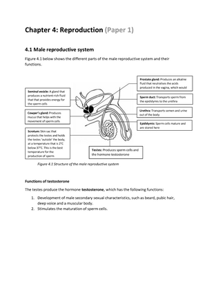 life sciences assignment term 3 task evolution