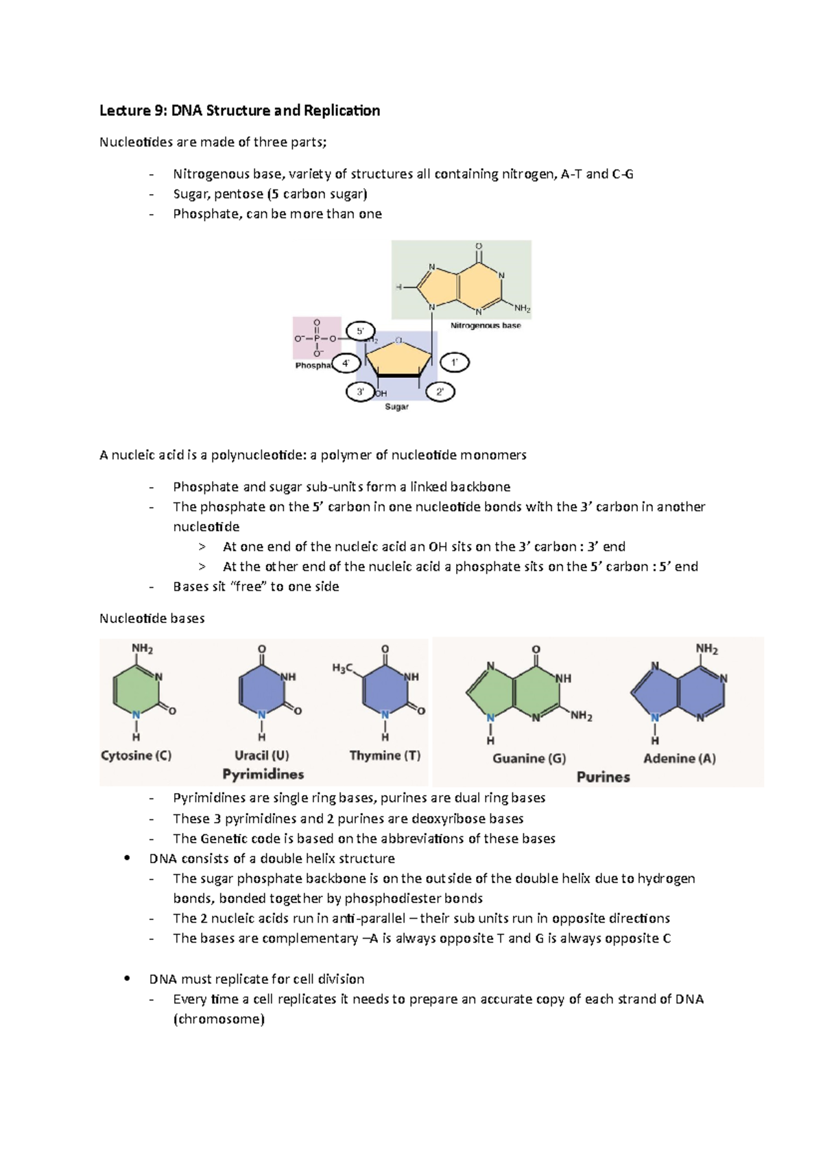 Lecture 9 - DNA Structure and Replication - Lecture 9: DNA Structure ...
