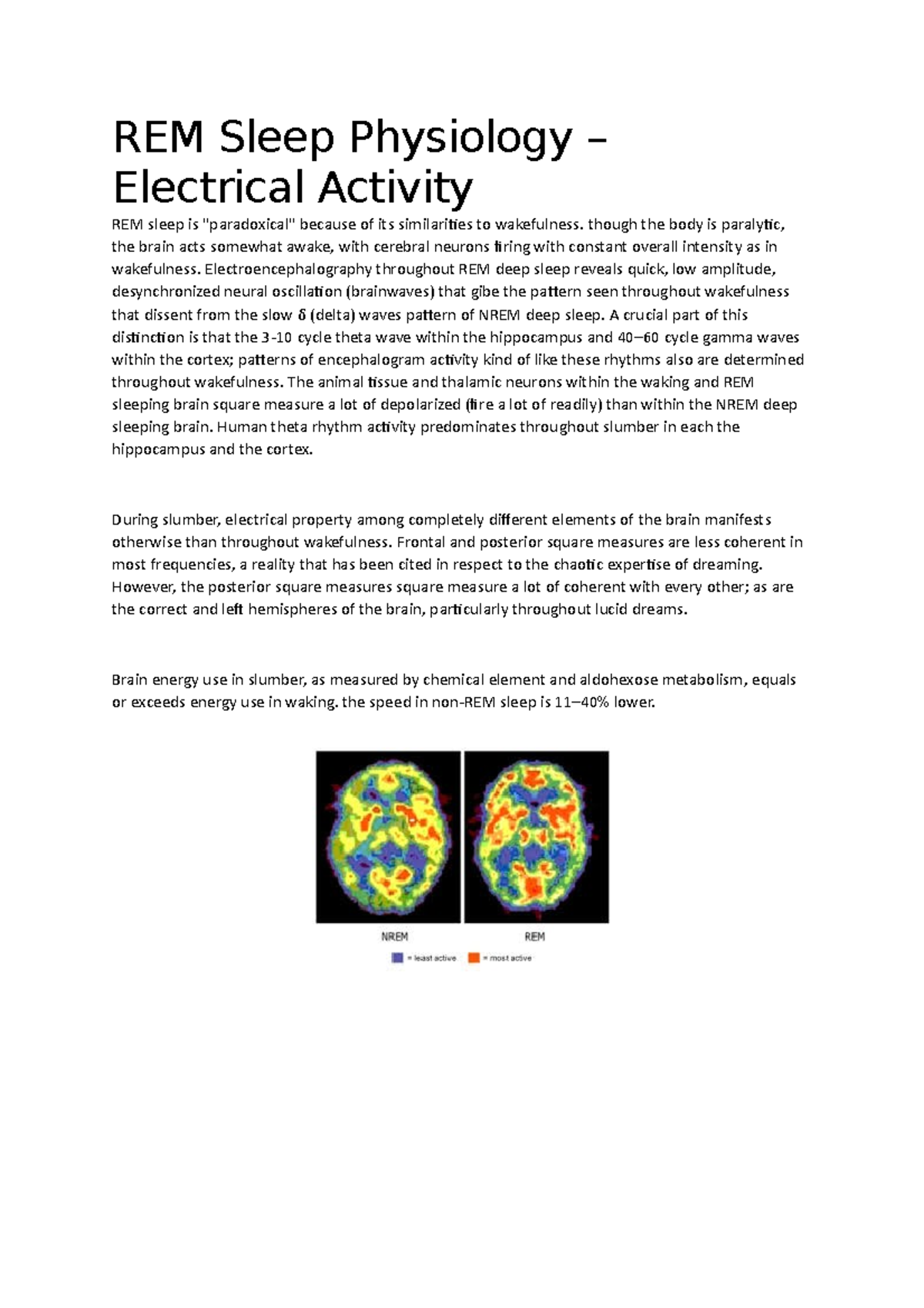 DE100 REM Sleep Physiology Electrical Activity REM Sleep Physiology