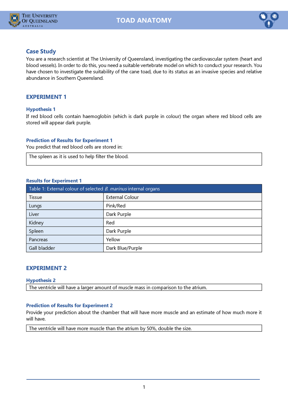 TOAD Anatomy - Practical Report - BIOM1050 TOAD ANATOMY TOAD Case Study ...