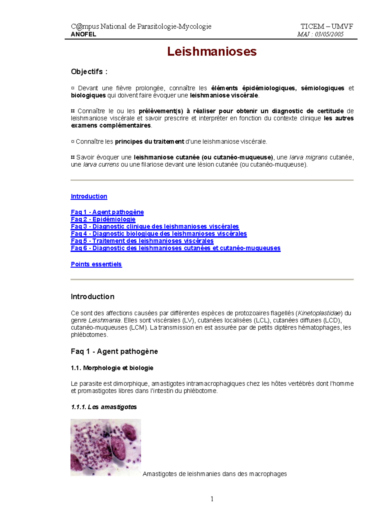 leishmanioses-anofel-maj-03-05-leishmanioses-objectifs-devant