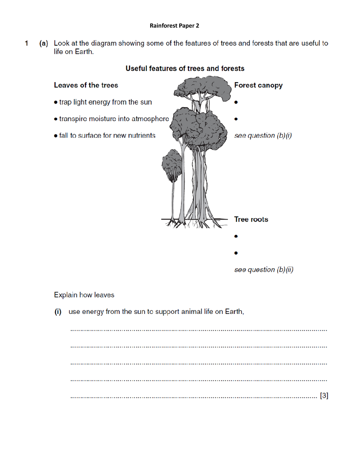 Paper 2 Rainforest - GEO607 - Rainforest Paper - Studocu