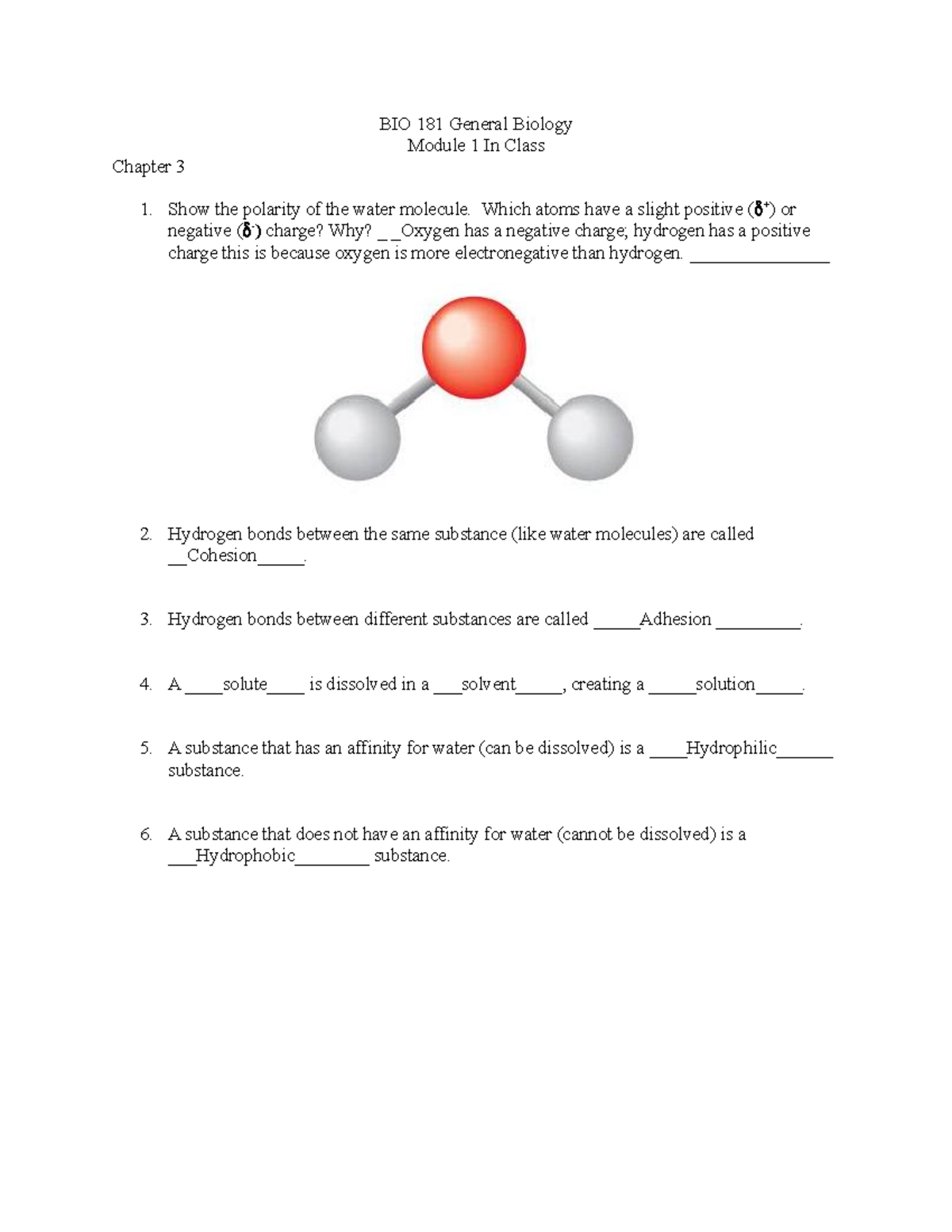 BIO 181 IC CH3 - In class work BIO-181 - BIO 181 General Biology Module ...