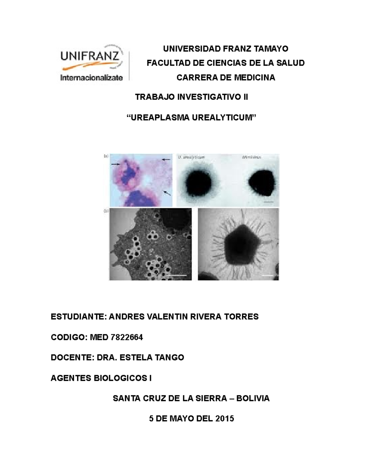 Ureaplasma urealyticum UNIVERSIDAD FRANZ TAMAYO FACULTAD DE CIENCIAS DE LA SALUD CARRERA DE