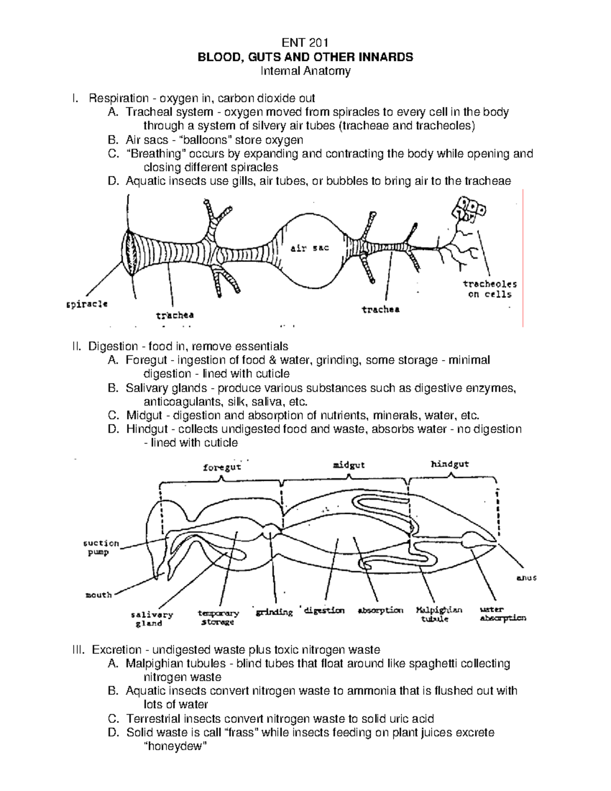 Unit 7- Blood, Guts, and Other Innards - ENT 201 BLOOD, GUTS AND OTHER ...