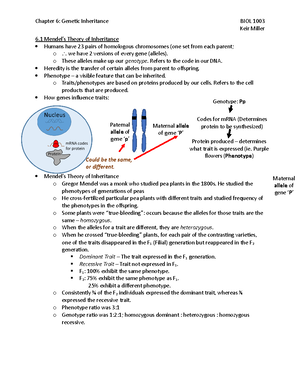Topic 3 Genetics - BIO NOTES - Topic 3: Genetics 3 Genes U1 A gene is a ...