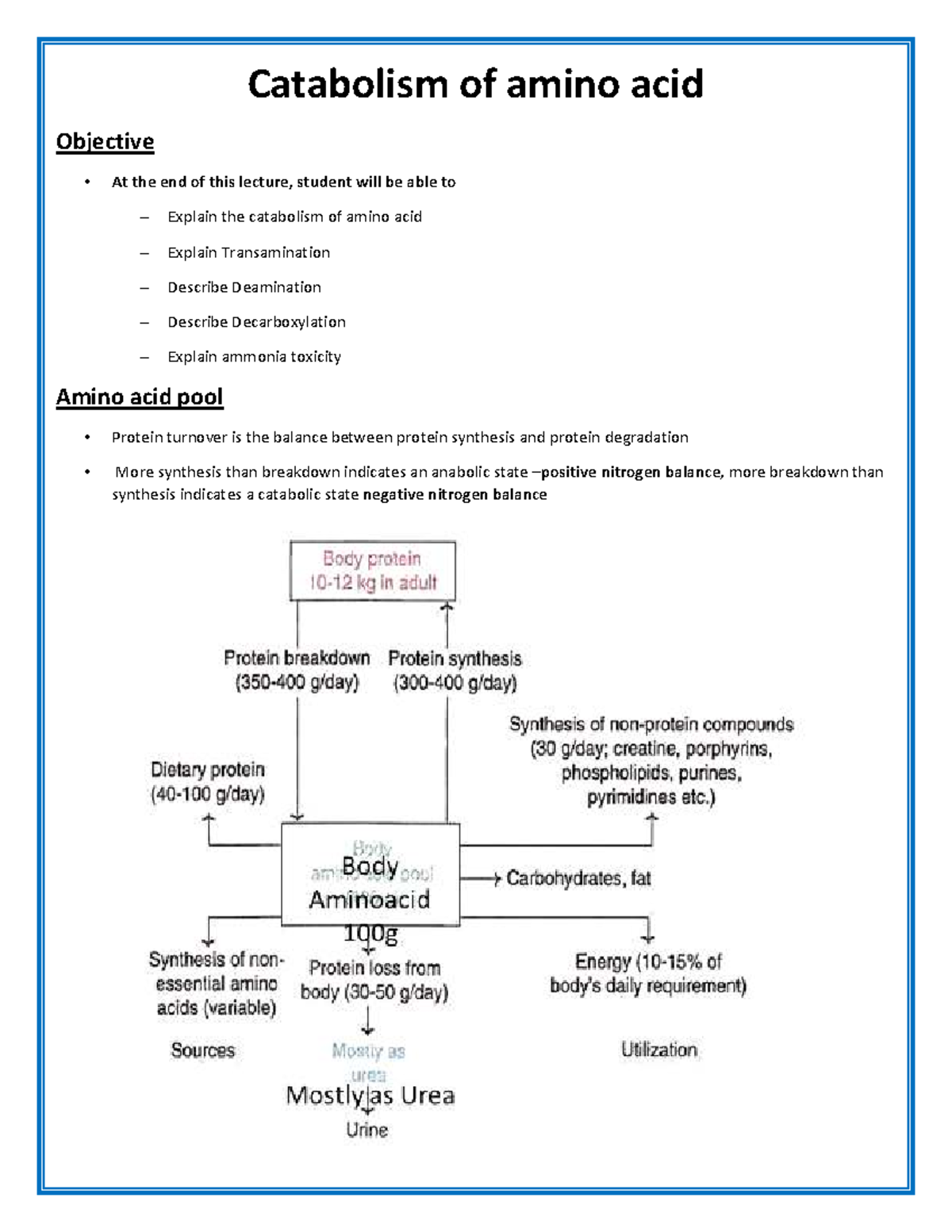 Catabolism of amino acid Catabolism of amino acid Objective At the