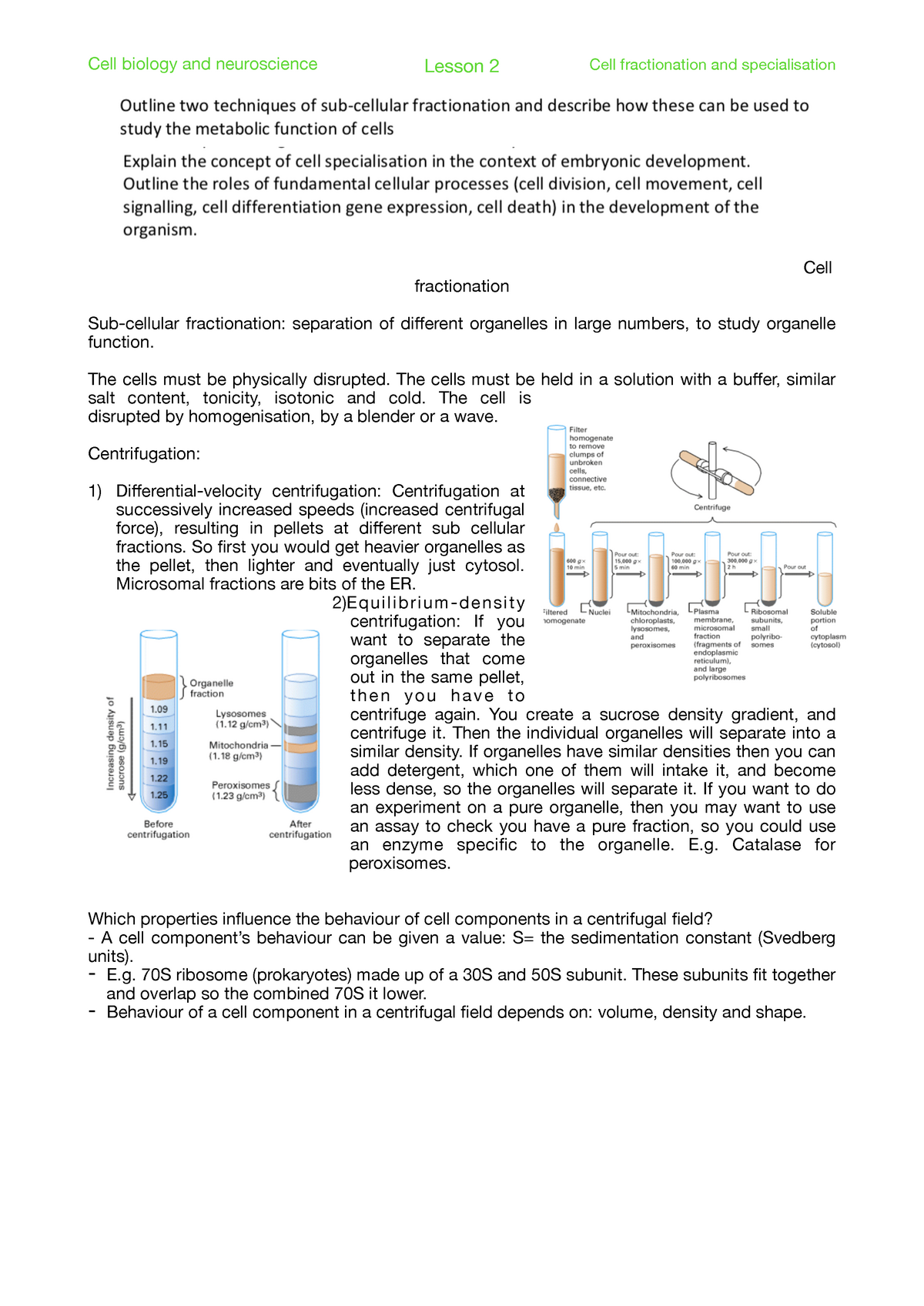 Cell Fractionation and Specialisation in Cell Biology and Neuroscience ...